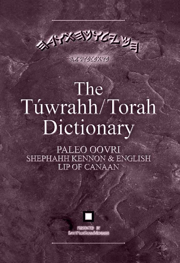 The Torah Dictionary Cover